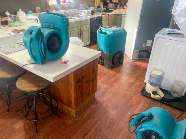 Best 24-hour water damage restoration  in Davie, FL
