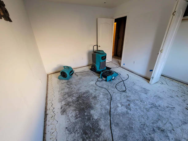 Best Flooded house restoration  in Davie, FL