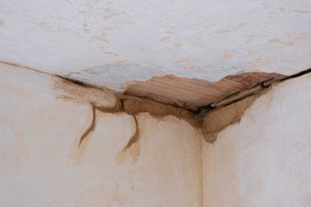 Best Fire Damage Restoration  in Davie, FL