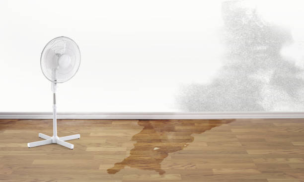 Water damage restoration process in Davie, FL
