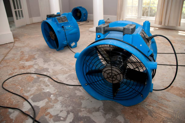  Davie, FL Water damage restoration Pros