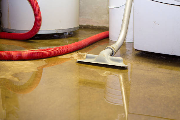 Best Water damage mitigation services  in Davie, FL