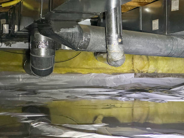 Best 24-hour water damage restoration  in Davie, FL