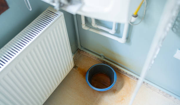 Best Water damage contractors near me  in Davie, FL