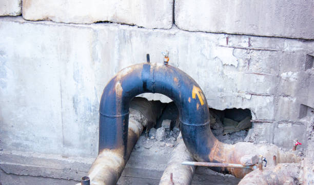 Best Flood restoration services  in Davie, FL