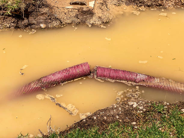 Best Flood restoration services  in Davie, FL