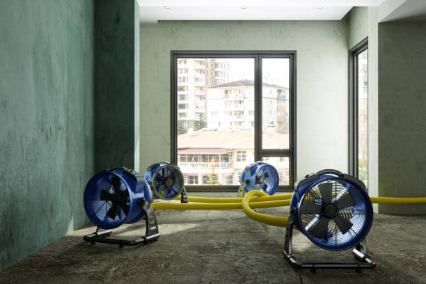 Best Local water damage restoration  in Davie, FL